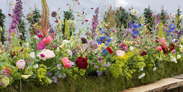 Bloemen beleving op Bingerden