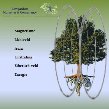 Bomen energie