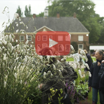 Internationale Kwekerijdagen 2018